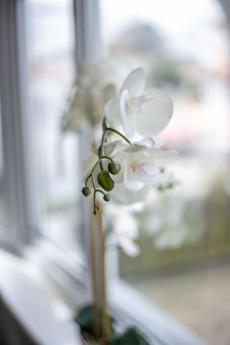 Coastal Haven In Leigh-On-Sea Apartment Southend-on-Sea Luaran gambar